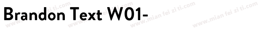 Brandon Text W01字体转换